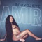 Amir - Tokyo Jetz lyrics