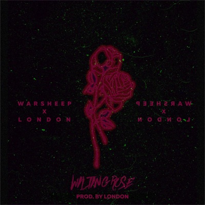 Wilting Rose - Single