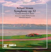R. Strauss: Symphony No. 2 in F Minor, Op. 12, TrV 126 & Concert Overture in C Minor, TrV 125 artwork