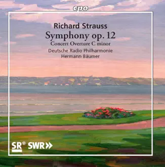 Symphony No. 2 in F Minor, Op. 12, TrV 126: II. Scherzo. Presto by Deutsche Radio Philharmonie Saarbrücken Kaiserslautern & Hermann Baumer song reviws