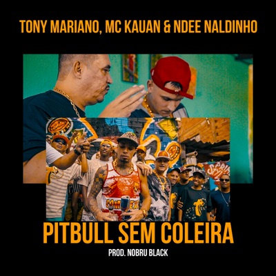 Pitbull Sem Coleira (feat. Mc Kauan & Ndee Naldinho) - Single