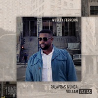 Palavras Nunca Voltam Vazias - Single - Wesley Ferreira