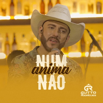 Num Anima Não - Single