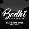 Baby Bird - Single