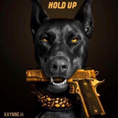 Hold Up - Single