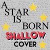 Shallow (A Star Is Born) [Cover of Lady Gaga & Bradley Cooper]