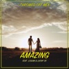 Amazing (feat. Logan & Lucky 3c) - Single