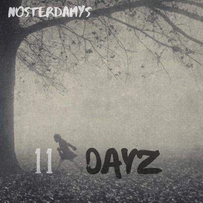 11 Dayz