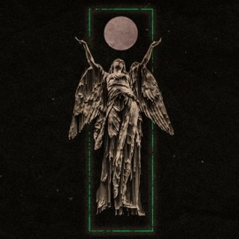 Fell for a Winner J Dot