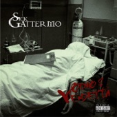 Sick Gattermo - Intro (Original Mix)