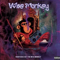 Wise Monkey - Righteous Rey the Wise Monkey