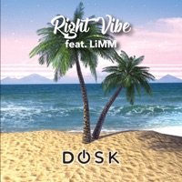 Right Vibe (feat. Limm) - Single - Dosk