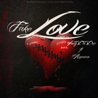 Fake Love (feat. AmReco) - Single - Joey Da Don