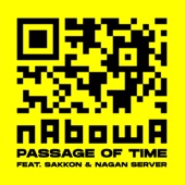 passage of time (feat. サッコン & NAGAN SERVER) artwork