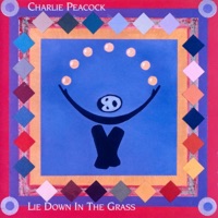 Lie Down in the Grass (Remastered) - Charlie Peacock