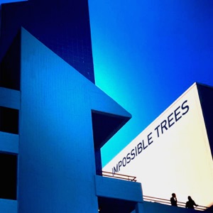 Impossible Trees (Remixes) - EP