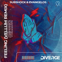 Feeling (Vellum Remix) - Single - Subshock & Evangelos