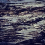 Iridescent Path