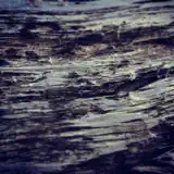 Hilyard - Night Swept the Forest