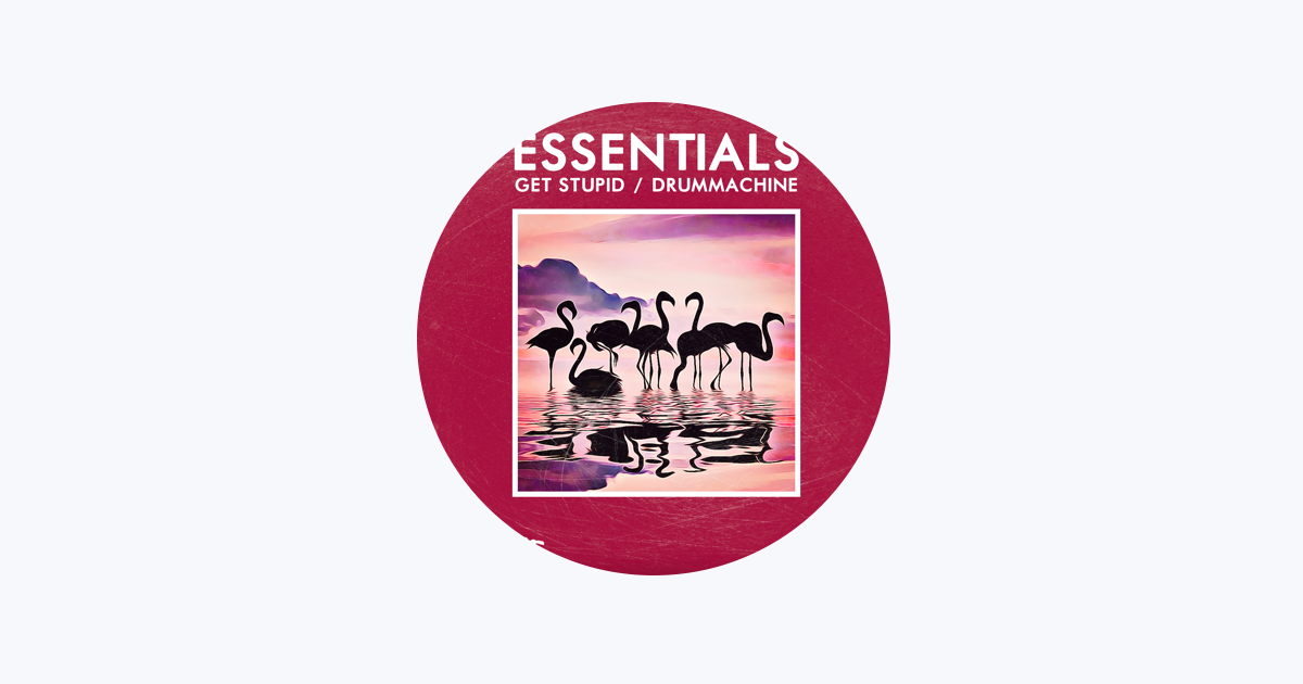 The Strokes Essentials - Playlist - Apple Music