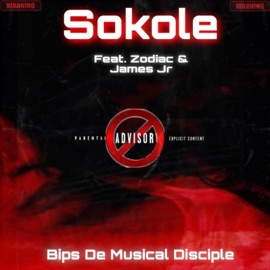 Sokole (feat. Zodiac za & Jamesjr) Bips De Musical Disciple