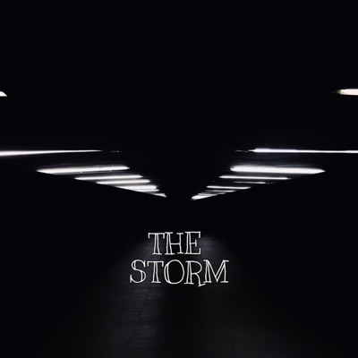 The Storm - Single