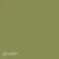 GHOSTIN