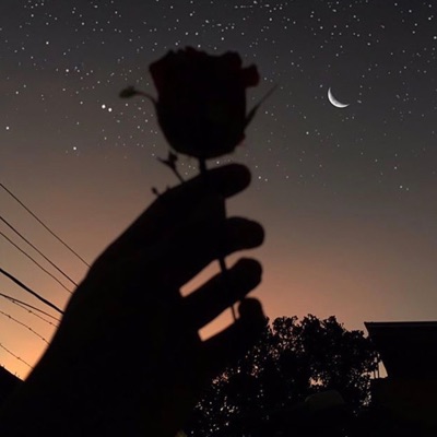 Forever Gone - Single