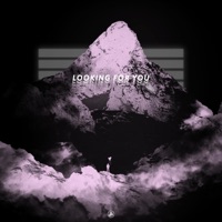 Looking For You - Single - ZEHLO