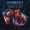 Rook - Ayonikz lyrics
