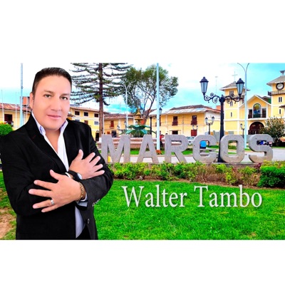 WALTER TAMBO JARA - Mi Morenita