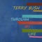 It Wasn't Me, It Was You - Terry Bush lyrics