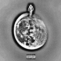 Turtles ARE Cool! - Single - Mikeroskopick