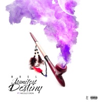 Manifest Destiny (feat. Nicolo Cron) - Single - HUSL