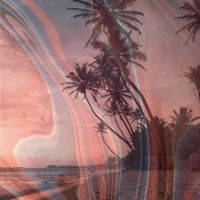 Under the Palms - Single - Ekim