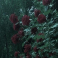 Silence - Single - WXXLER