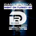 Night on Turkey