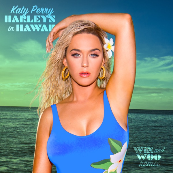 Harleys In Hawaii (Win and Woo Remix) - Single - Katy Perry & Win and Woo