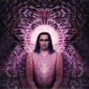 Incarnation - Mantras for Self-Remembrance (Live) - Amrita Vibration