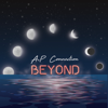 A-P Connection - Beyond artwork