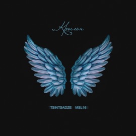 Крылья TSINTSADZE & Msl16