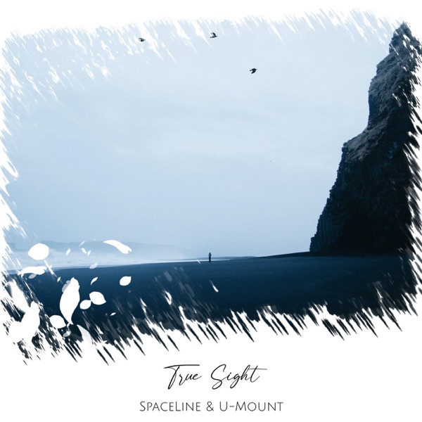 True Sight - Single