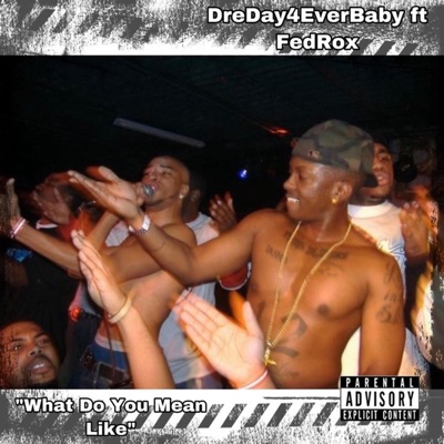 What Do You Mean Like (feat. FedRox) - Single