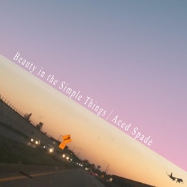 Beauty in the Simple Things Aced Spade