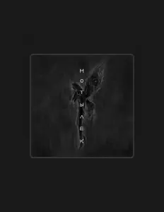 Escucha a JUKE, mira vídeos musicales, lee la biografía, consulta fechas de giras y mucho más.