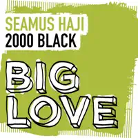 2000 Black (Extended Mix) — Seamus Haji