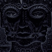 TOOL - Vicarious