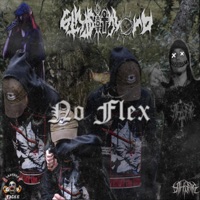 No Flex - Single - 6th$ithLord