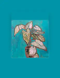 聆聽 Maayan Blum、觀看音樂影片、閱讀小傳、查看巡演日期等！