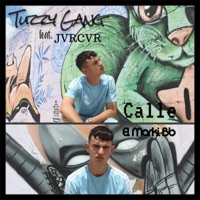 Calle (feat. Jvrcvr & El Marki Bb) - Single - Tuzzy Gang